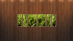 Well not lie going still edited hardwood