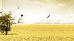 Well You him yay found thank already haha