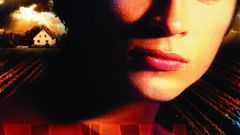 Welling Celebrity Smallville Tom