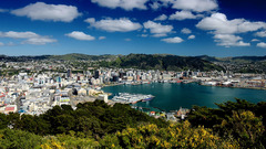 Wellington skyline high Car