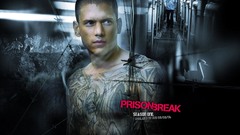 Wentworth miller prison break