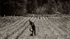 Western Washington grays Harbor