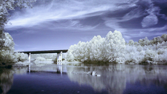 Wet photography abstract scenic