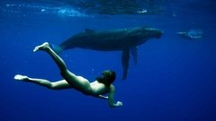 Wet swim Whales nude