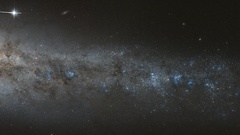 Whale sulzenauer big dual