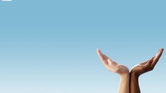 Whales World Wildlife Fund