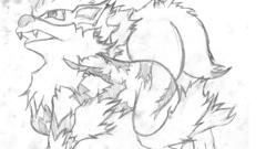 What did high arcanine