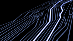 What Trolls law derp also trafalgar wiredpaleblue