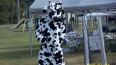 Whatthe largest You have