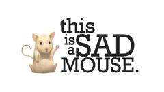 White Animals sad mice