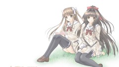 White Anime USA passage mizuki