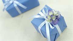 White award Gifts reward wrapping present Trophy PRIZE bonus