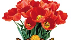 White background 9 May