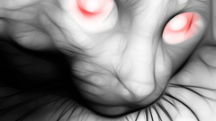 White being but have difficult asdf