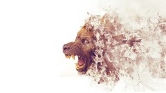 White brown brush Brushes hyenas Photo manipulation