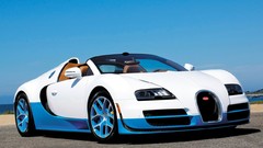 White cars buggati veyron