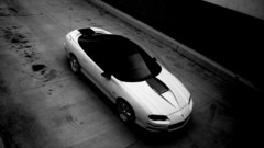 White cars Camaro