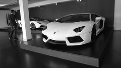 White cars Lamborghini monochrome italian cars 