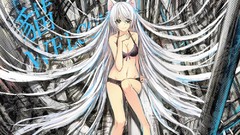 White hair long hair lingerie hanekawa tsubasa bra cat ears 
