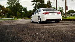 White Honda vossen