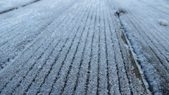 White ice brown frost Frozen deck nails Wood