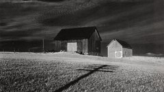 White shadow minor two New and barns dansville