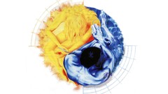 White simon white background