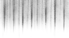 White whites need More