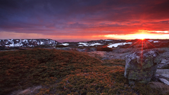 Who? Maybe The have doesn knows