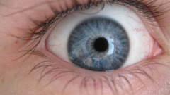 Who? thinks have pretty