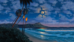 Wide was This than used taller