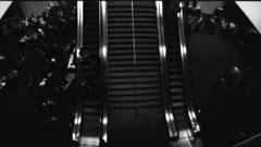 Widelux moscone escalator
