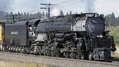 Widescreen locomotives trains steam locomotives Big Boy Union 