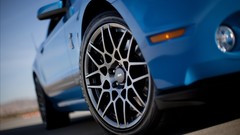 Widescreen Shelby shelby gt500 Ford Shelby Shelby GT500 2013