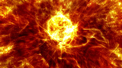 Wildfire wp post all