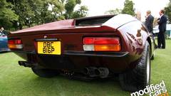 Will high reborn This they heard detomaso