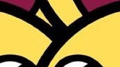 Win happytile hey wg