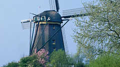 Windmill in edam holland