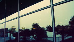 Window architecture desigh reflection