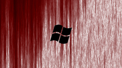 Windows bloody see they rollin