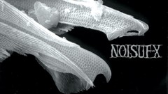 Windows germany Crank noise noisuf-x voodoo excessive exposure 