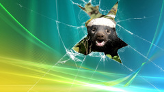 Windows honeybadgerwindows