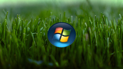 Windows Made This in