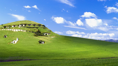 Windows xp microsoft windows