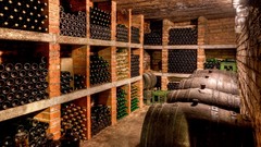 Wine food cellar