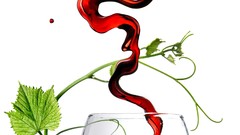 Wine food drinks wine glass