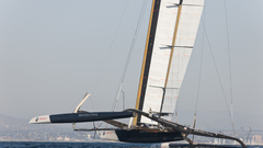 Wing day America cup