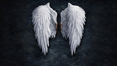 Wings aion