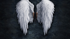 Wings angel wings