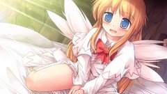 Wings blondes blue eyes touhou lily white